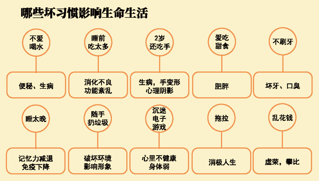 早教师培训课程0-6岁习惯养成 早教师培训课程0-6岁习惯养成